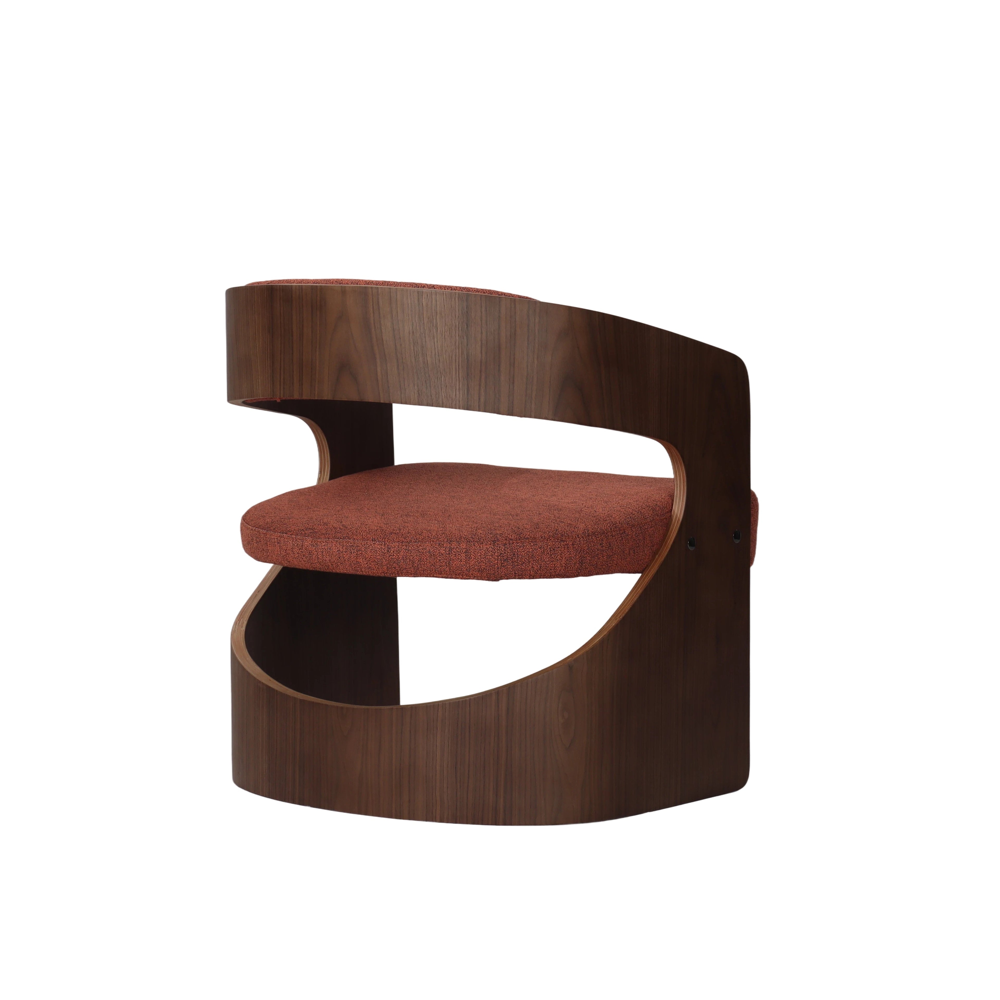 Modern Curved Art Chair - 3-Year Warranty, High Quality